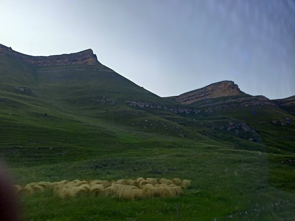 IMG20250725183040.jpg