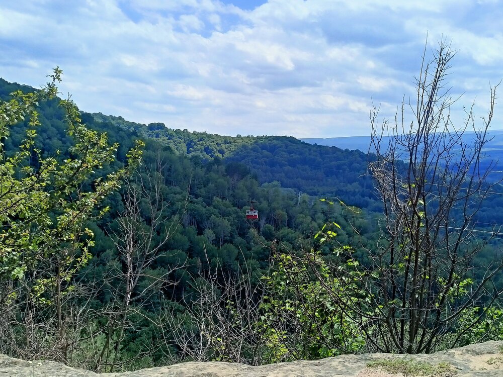 IMG20250726131101.jpg