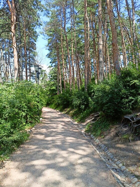 IMG20250726132223.jpg