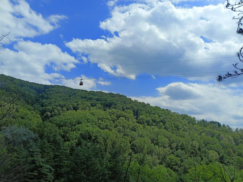 IMG20250726134030.jpg