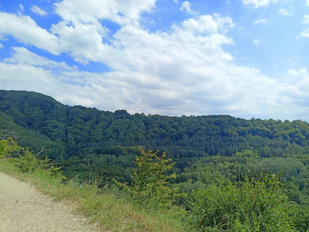 IMG20250726142227.jpg