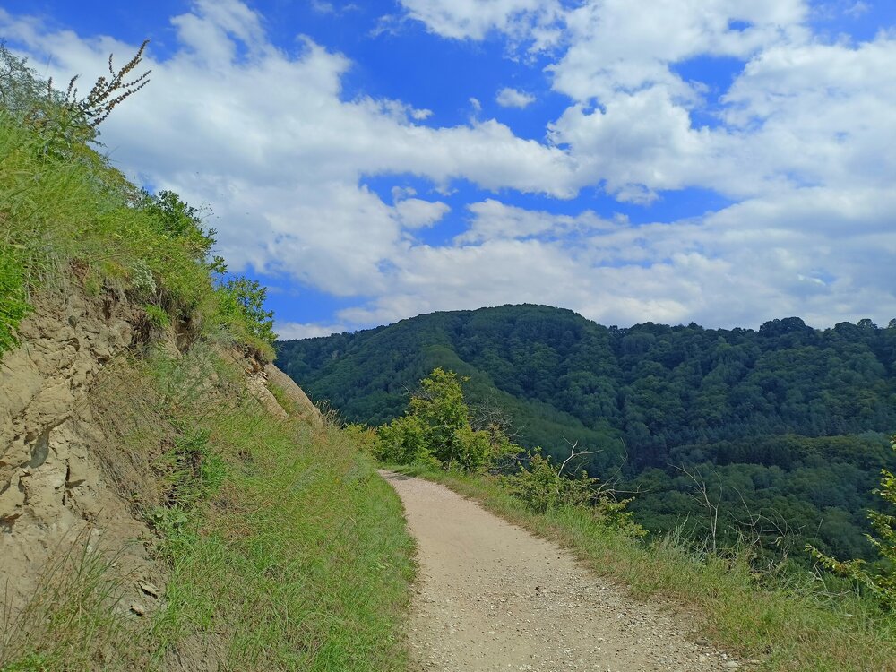 IMG20250726142231.jpg