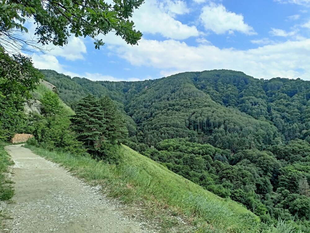 IMG20250726142452.jpg