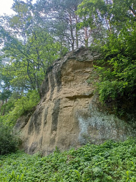 IMG20250726153818.jpg