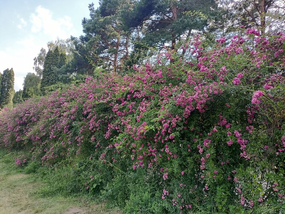 IMG20250726155823.jpg