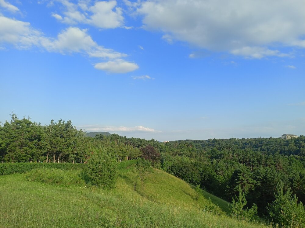 IMG20250726175618.jpg
