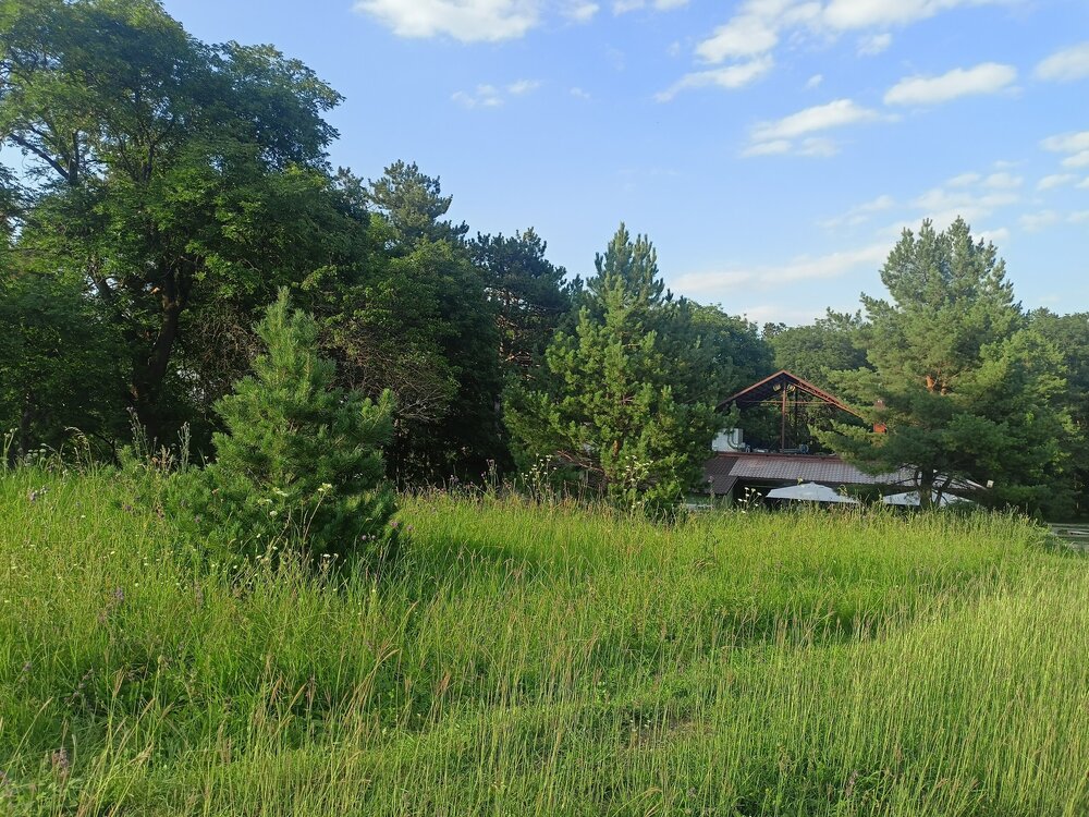 IMG20250726175622.jpg