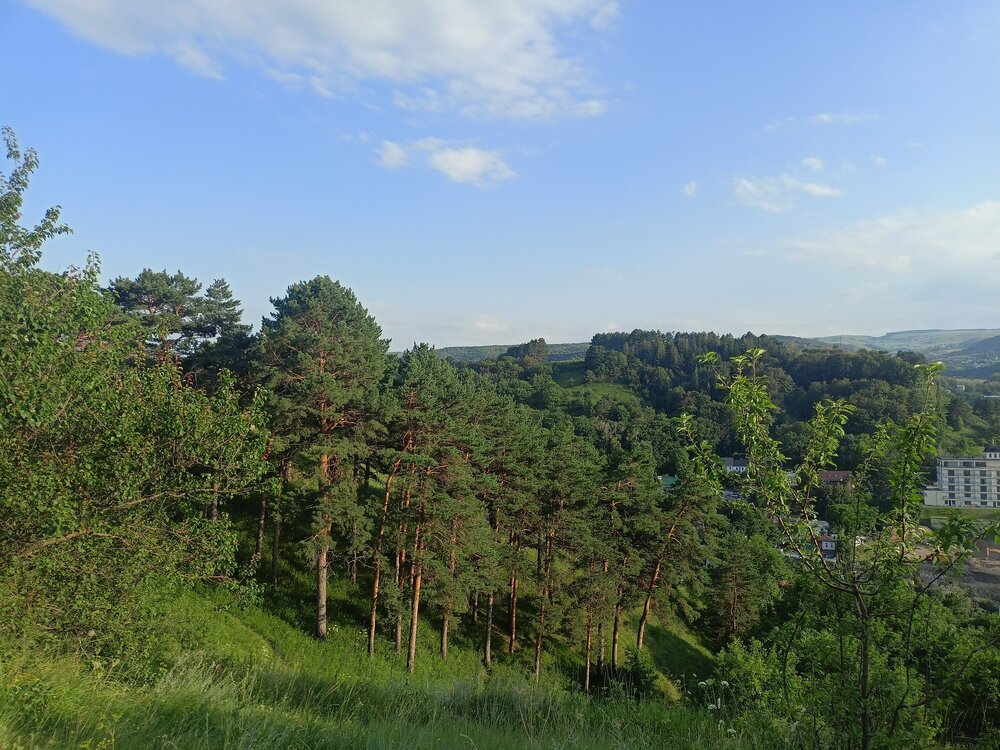 IMG20250726175902.jpg