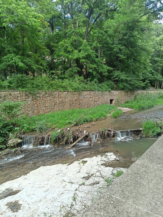 IMG20250726182008.jpg