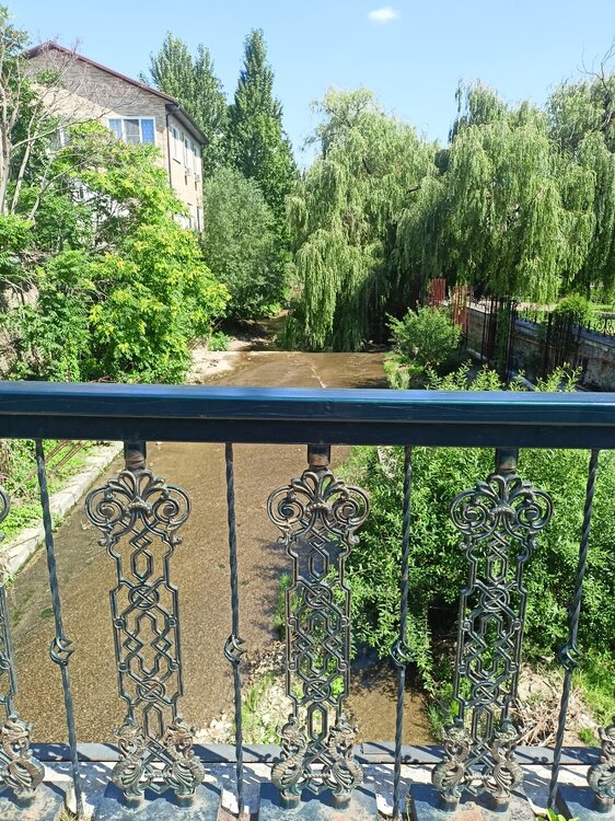 IMG20250727100237.jpg