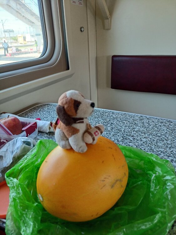 IMG20250728141446.jpg