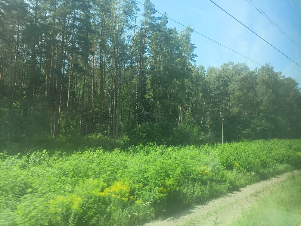 IMG20250729112827.jpg