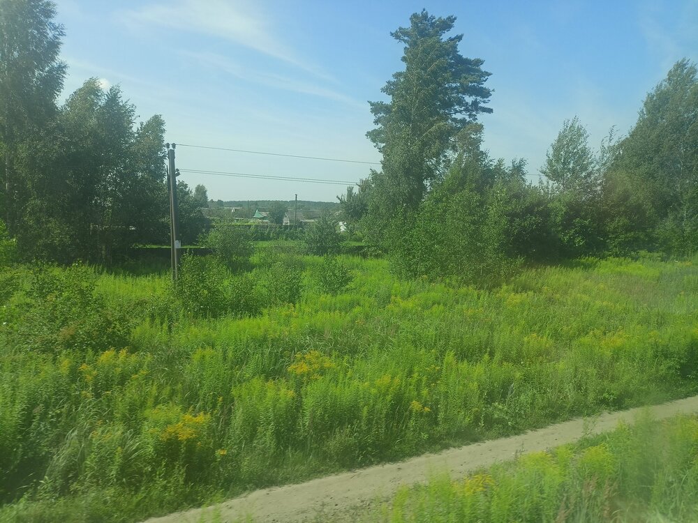 IMG20250729112928.jpg
