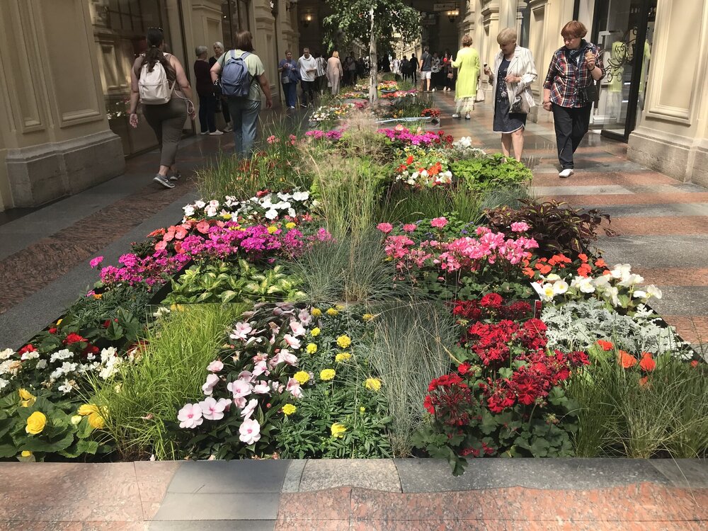 IMG_0006.jpeg