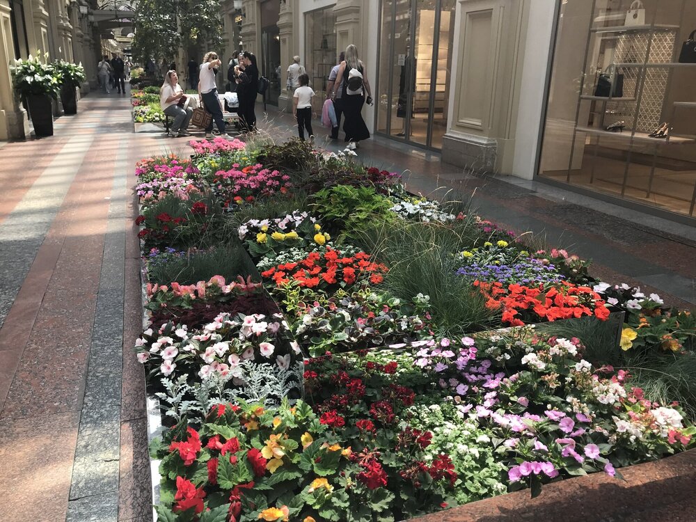 IMG_0015.jpeg