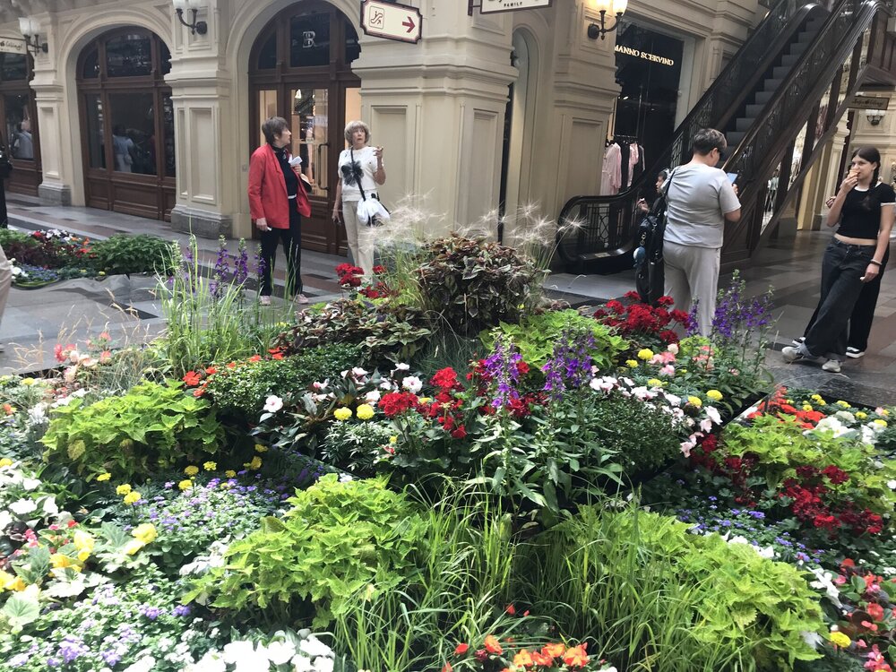 IMG_0023.jpeg