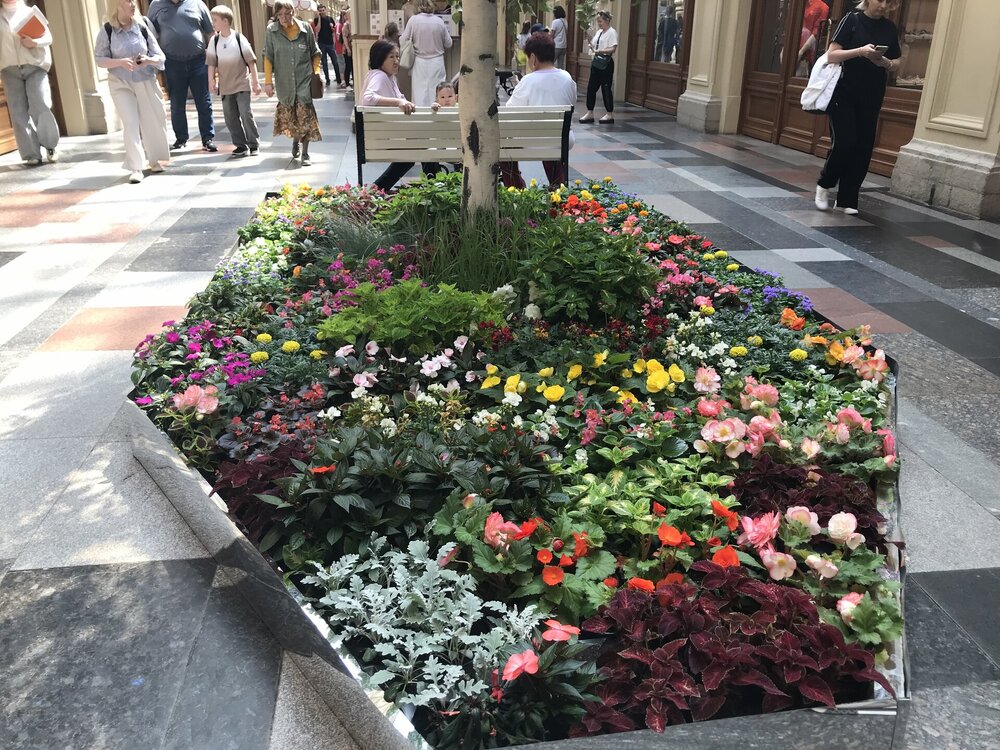 IMG_0024.jpeg