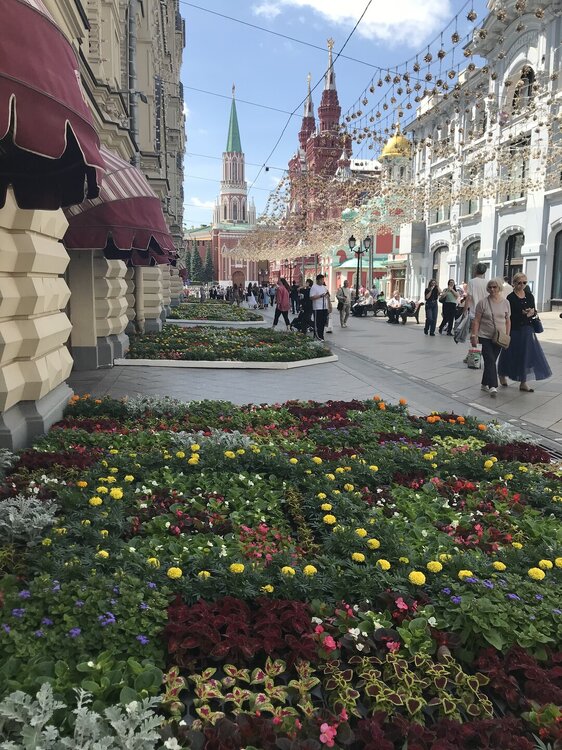 IMG_0029.jpeg
