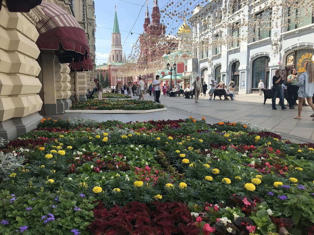 IMG_0030.jpeg