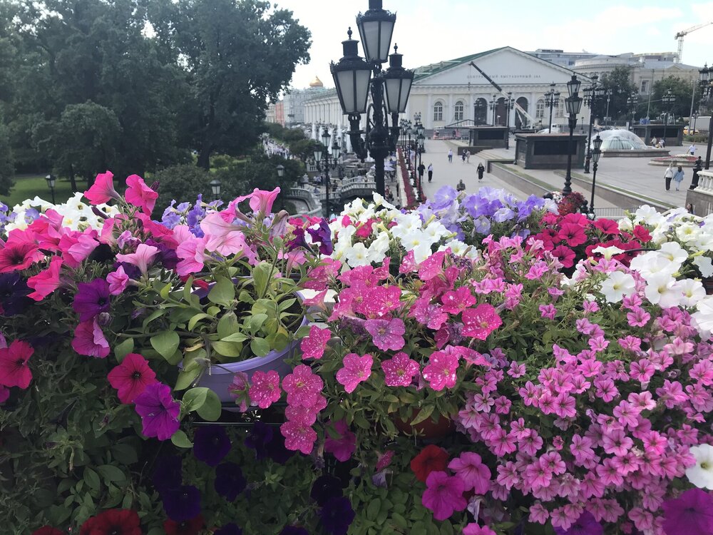 IMG_0045.jpeg
