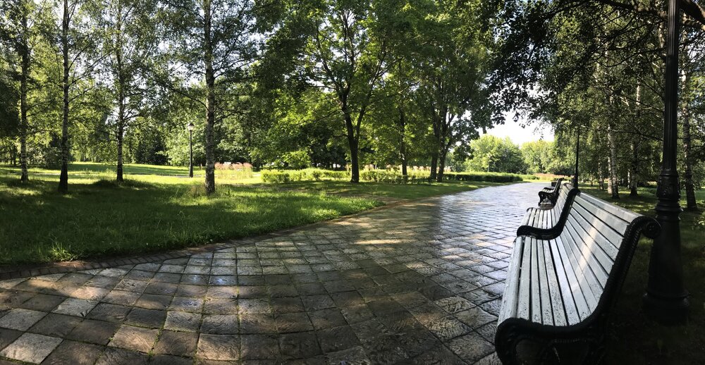 IMG_0071.jpeg