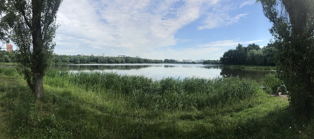 IMG_0078.jpeg