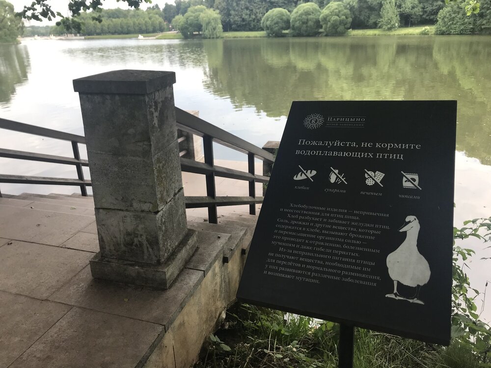 IMG_0087.jpeg