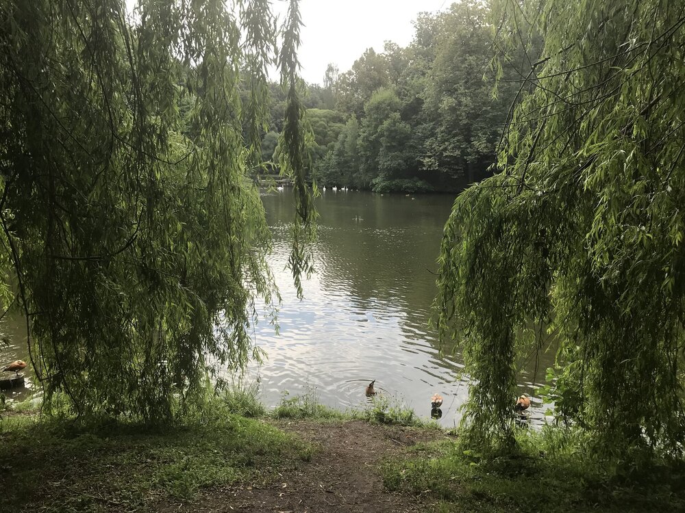 IMG_0102.jpeg