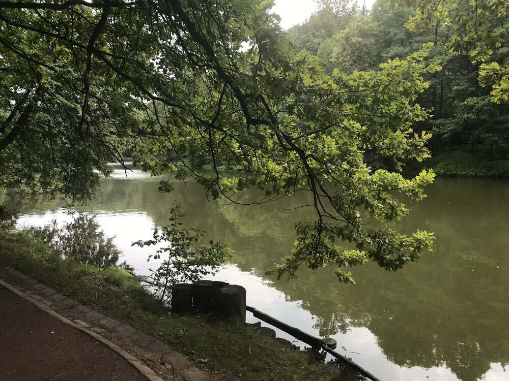 IMG_0106.jpeg