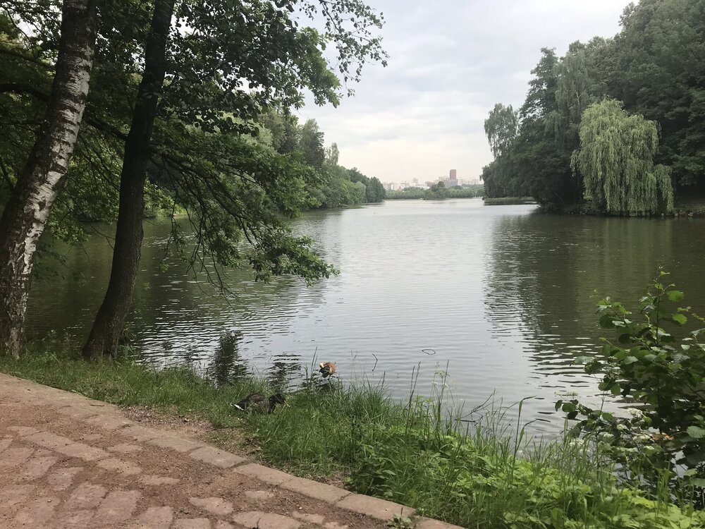 IMG_0110.jpeg
