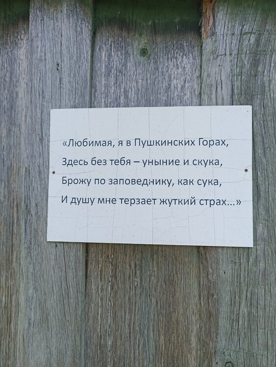 IMG_20250613_135748.jpg