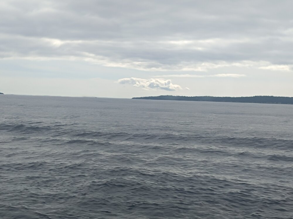 IMG_20250709_123019.jpg