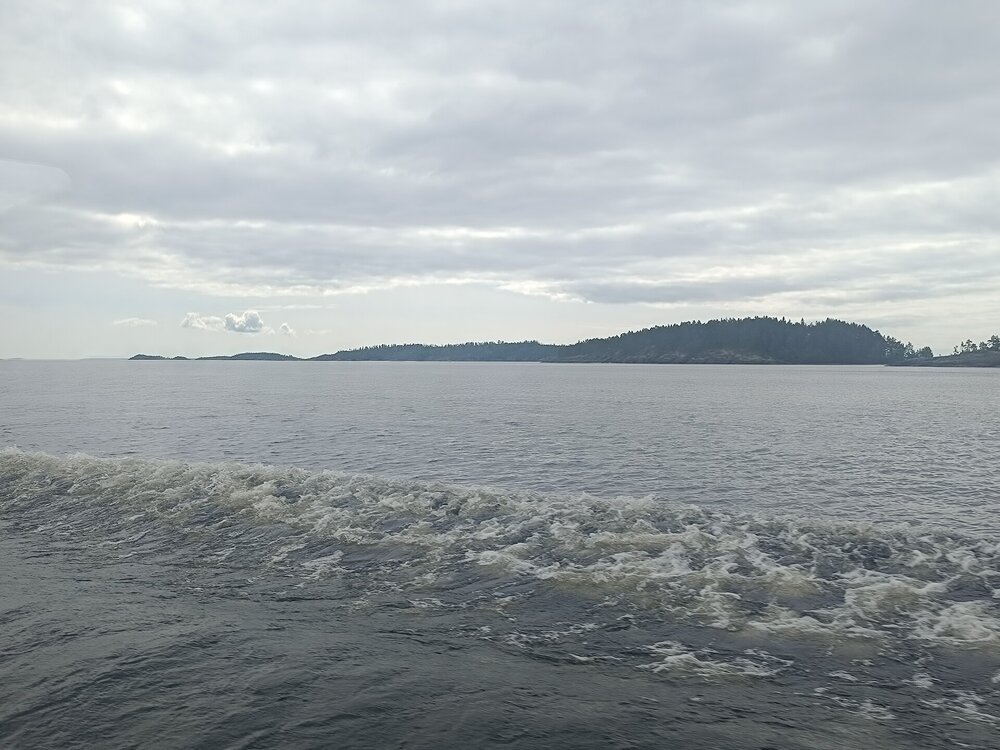 IMG_20250709_123821.jpg