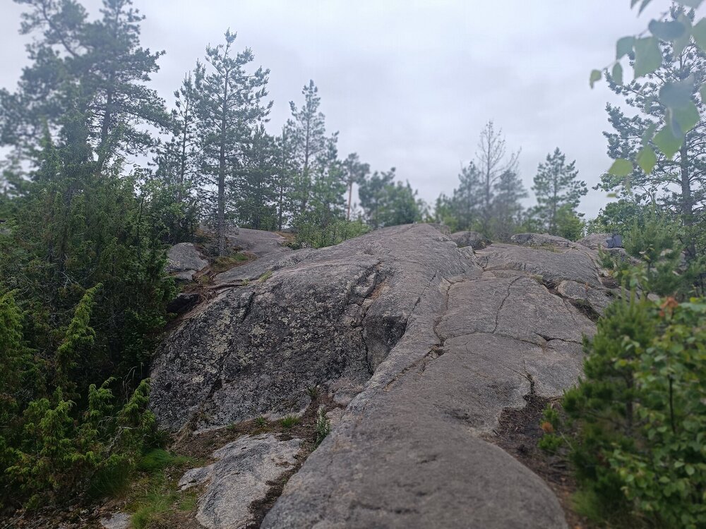 IMG_20250709_130006.jpg