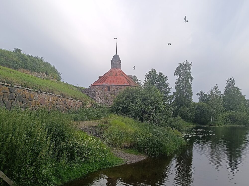 IMG_20250709_202249.jpg