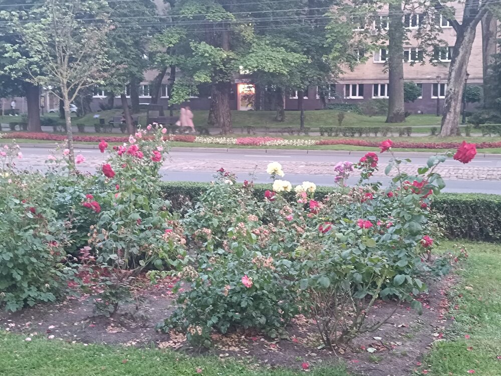 IMG_20250714_211040.jpg