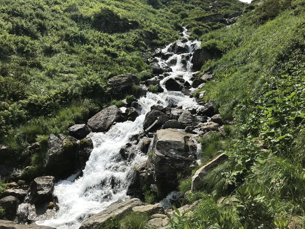 IMG_4438.jpeg