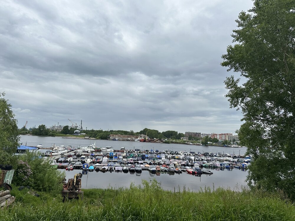 IMG_7261.jpeg