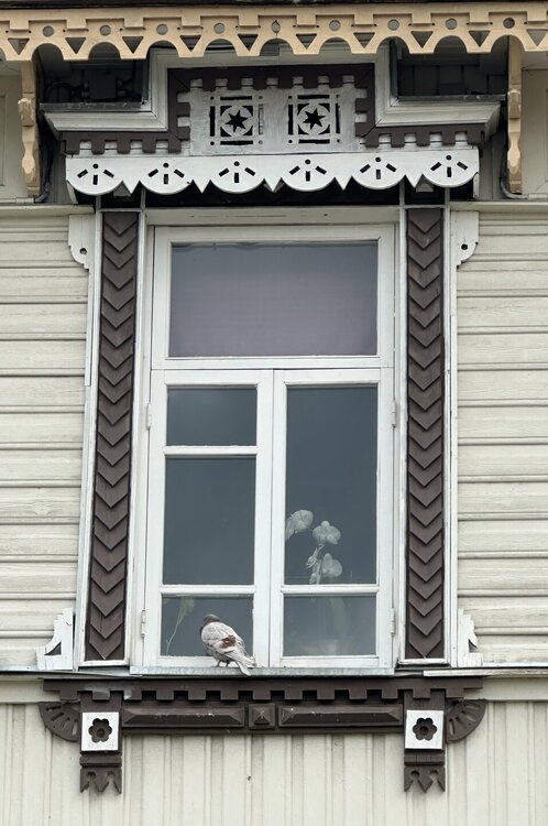 IMG_7308.jpeg