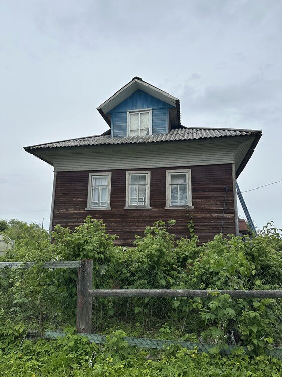 IMG_7374.jpeg
