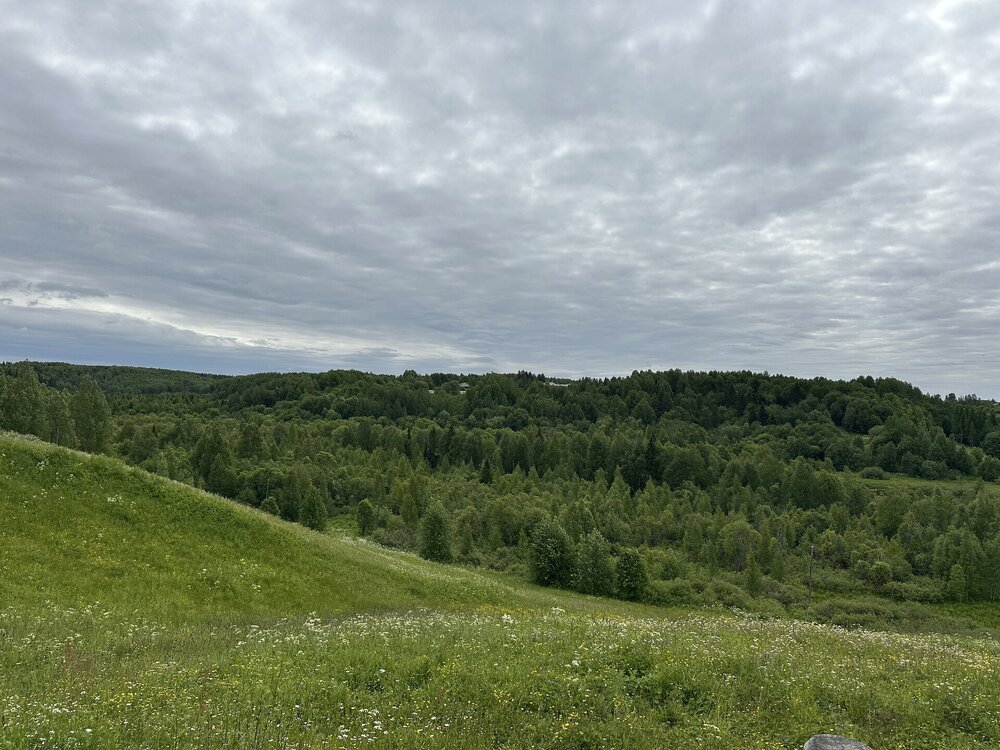 IMG_7787.jpeg