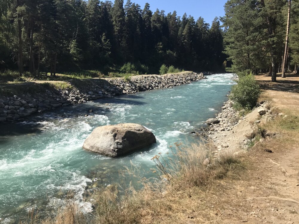 IMG_8080.jpeg