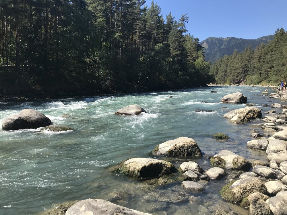 IMG_8094.jpeg