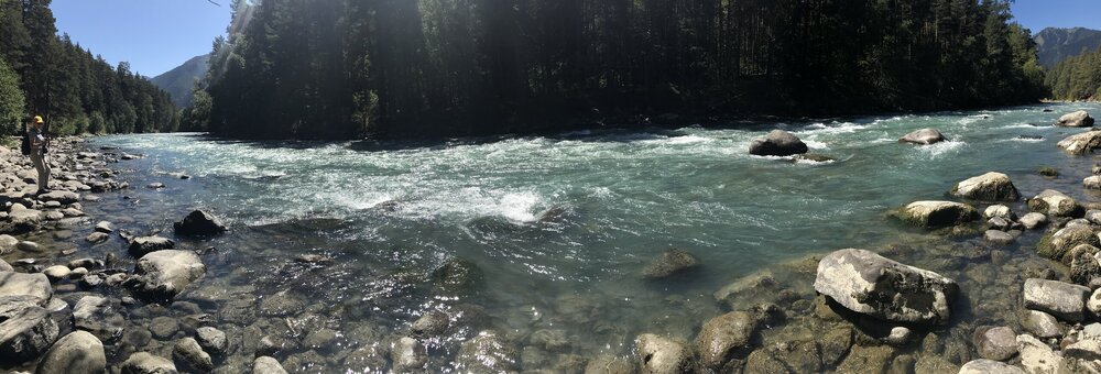 IMG_8096.jpeg