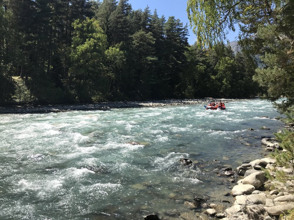 IMG_8119.jpeg