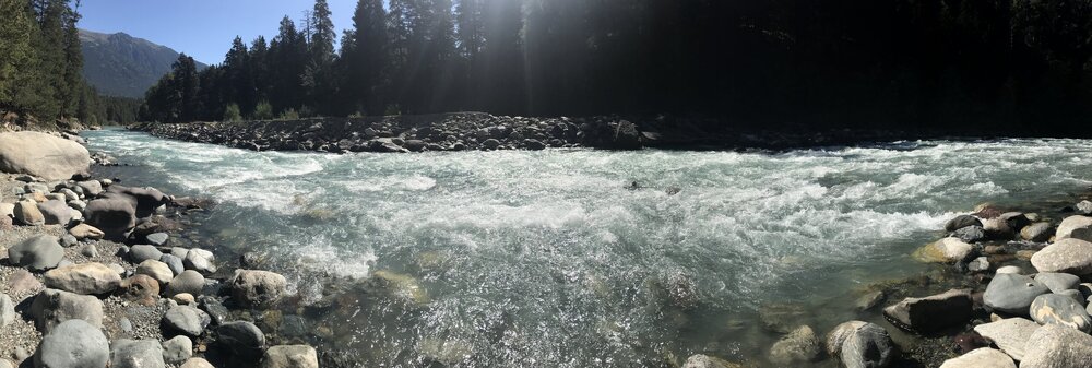 IMG_8221.jpeg