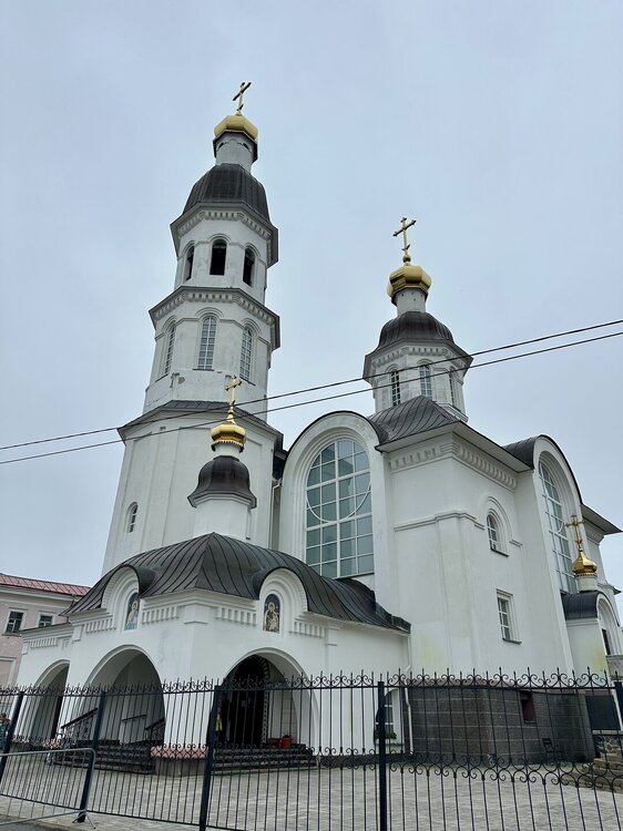 IMG_8325.jpeg