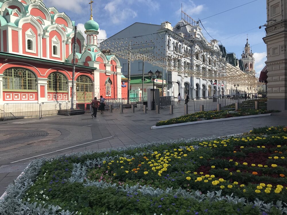 IMG_9950.jpeg