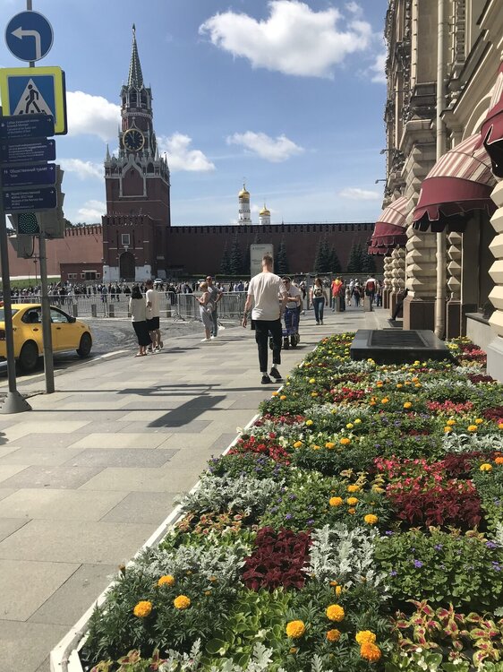 IMG_9988.jpeg