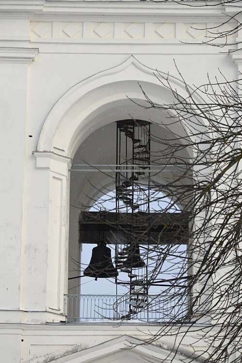 ________DSC_3733.JPG